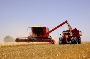 Cosechadora y tractor 2